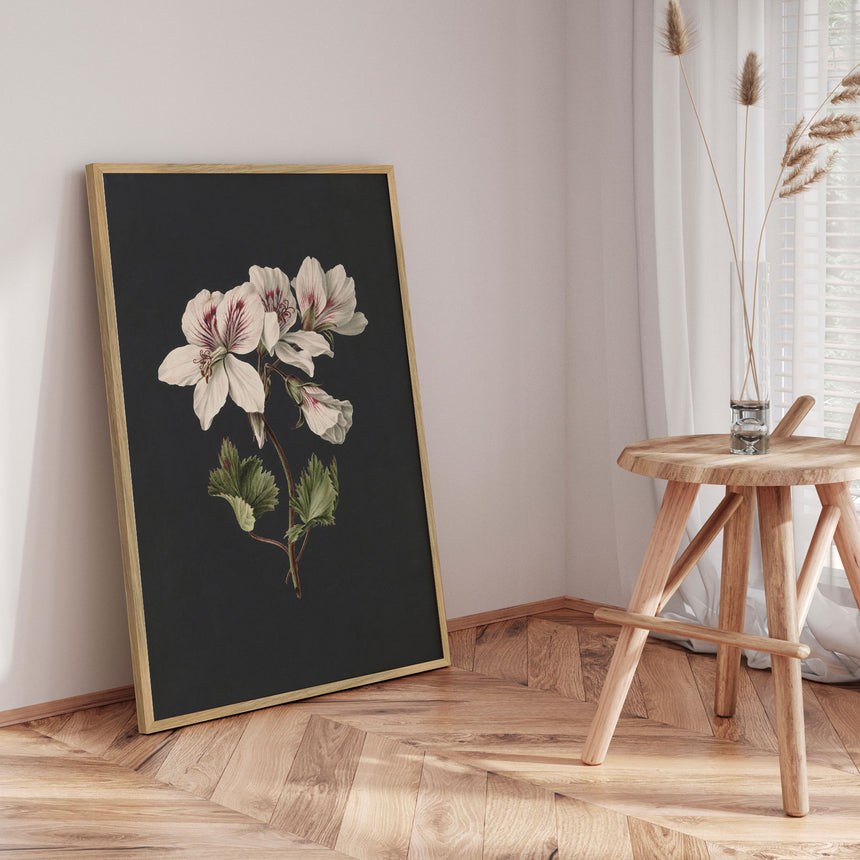 Plakat - White Flowers - Incado