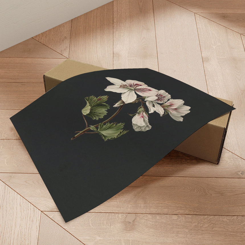 Plakat - White Flowers - Incado