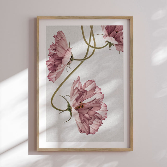 Plakat - Dusty Pink - Incado