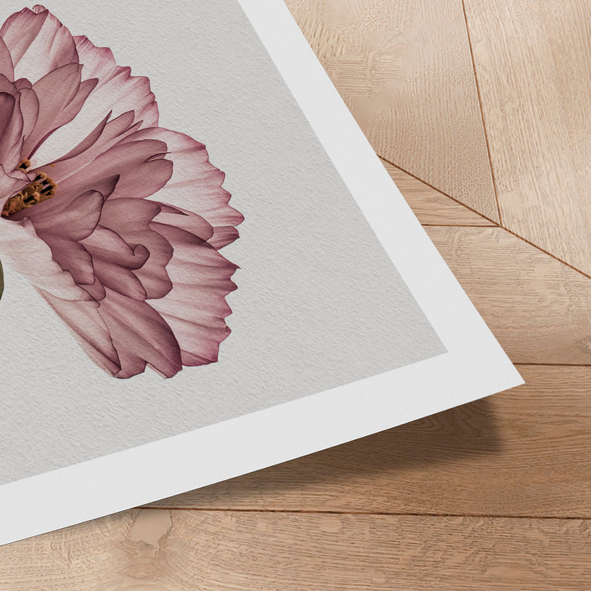 Plakat - Dusty Pink - Incado