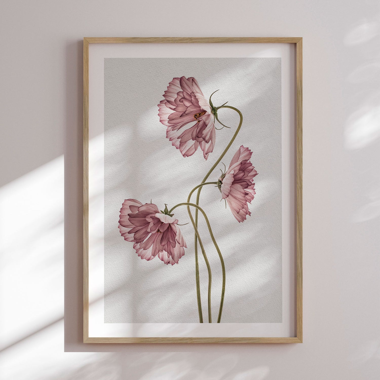 Plakat - Dusty Pink II - Incado