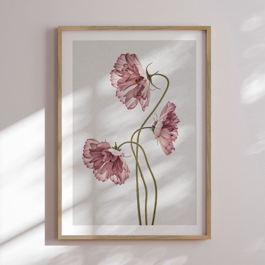 Plakat - Dusty Pink II - Incado