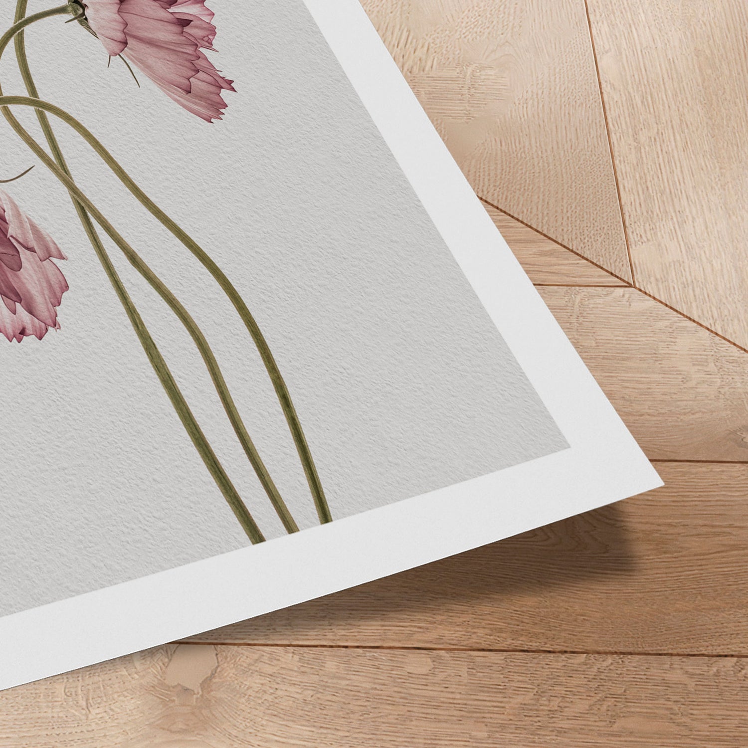 Plakat - Dusty Pink II - Incado