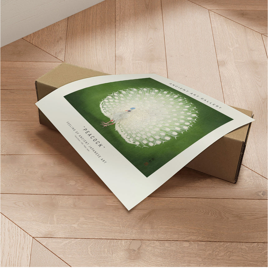 Plakat - Peacock - Incado