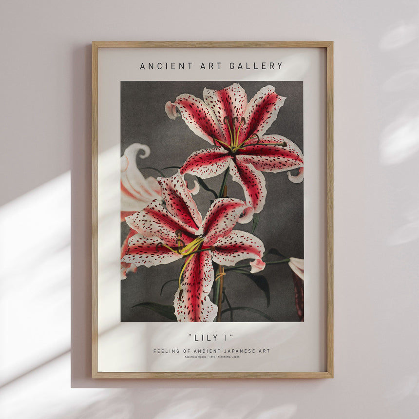 Plakat - Lily I - Ancient Art - Incado