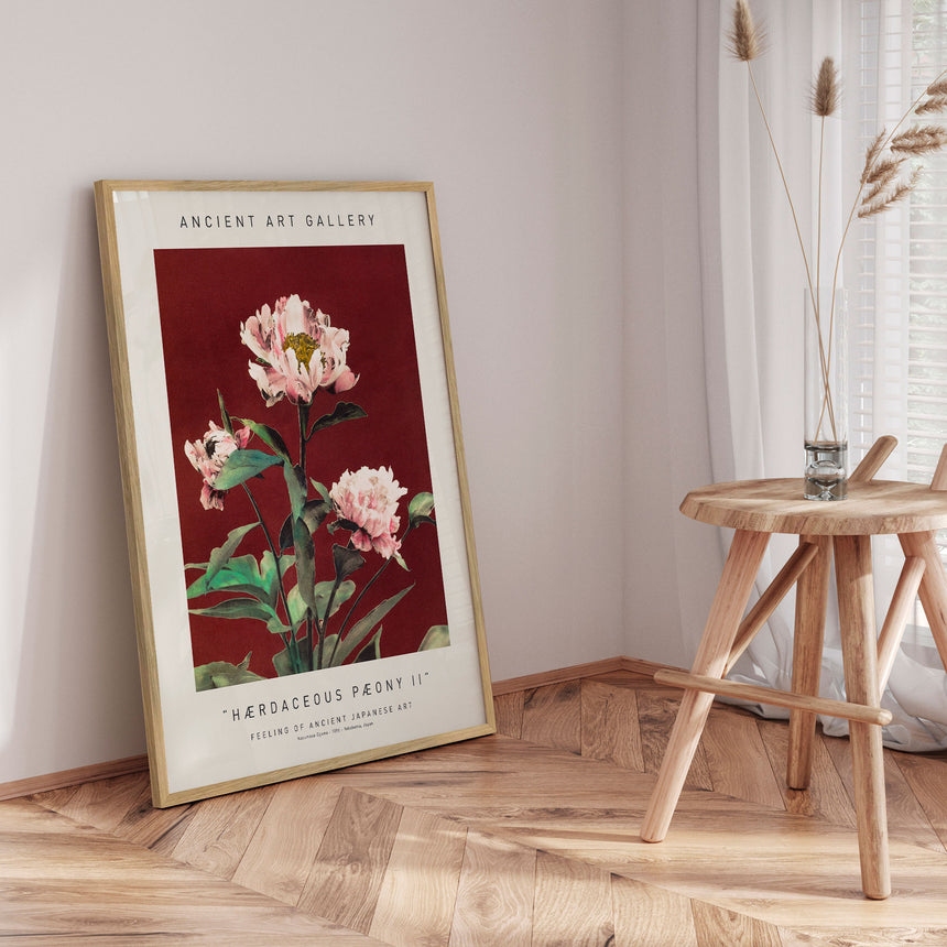 Plakat - Hærdaceous Pæony II - Ancient Art - Incado