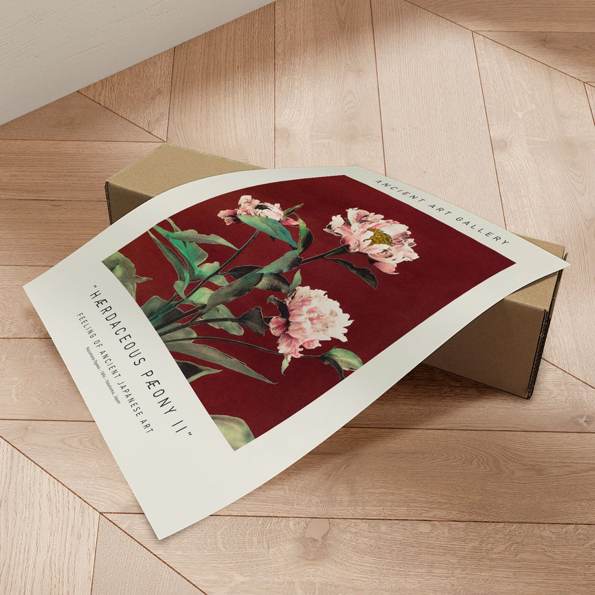 Plakat - Hærdaceous Pæony II - Ancient Art - Incado