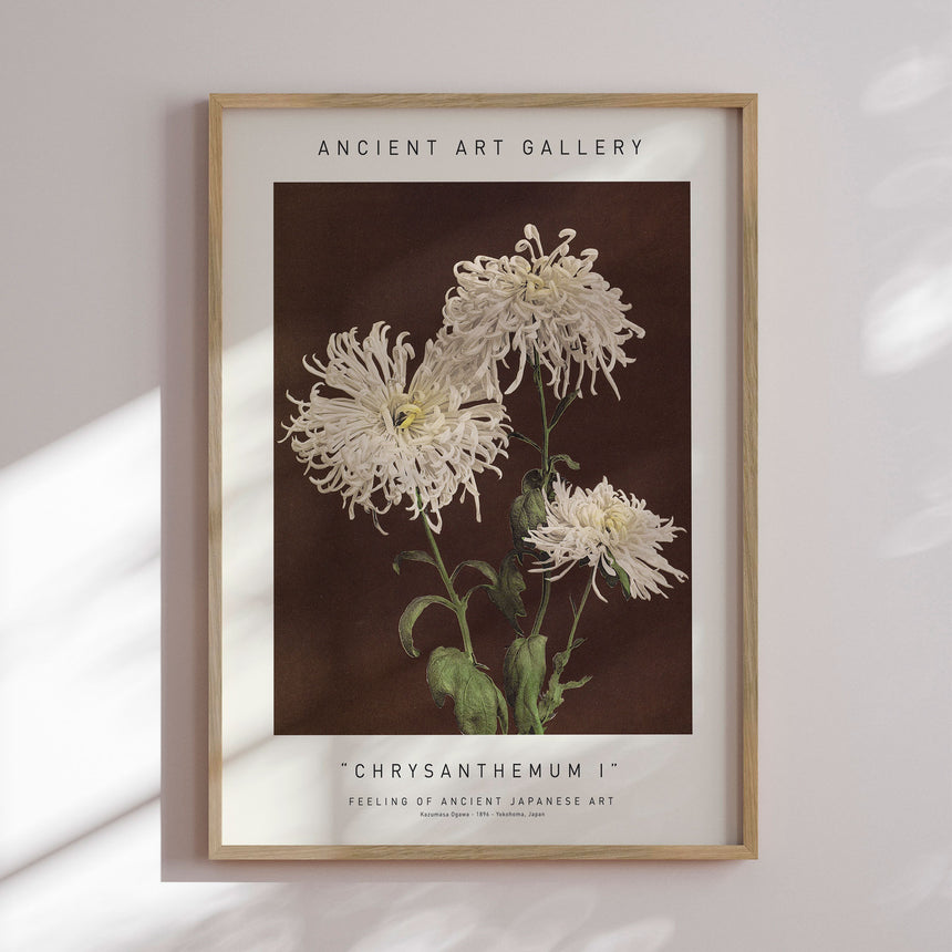 Plakat - Chrysanthemum I - Ancient Art - Incado