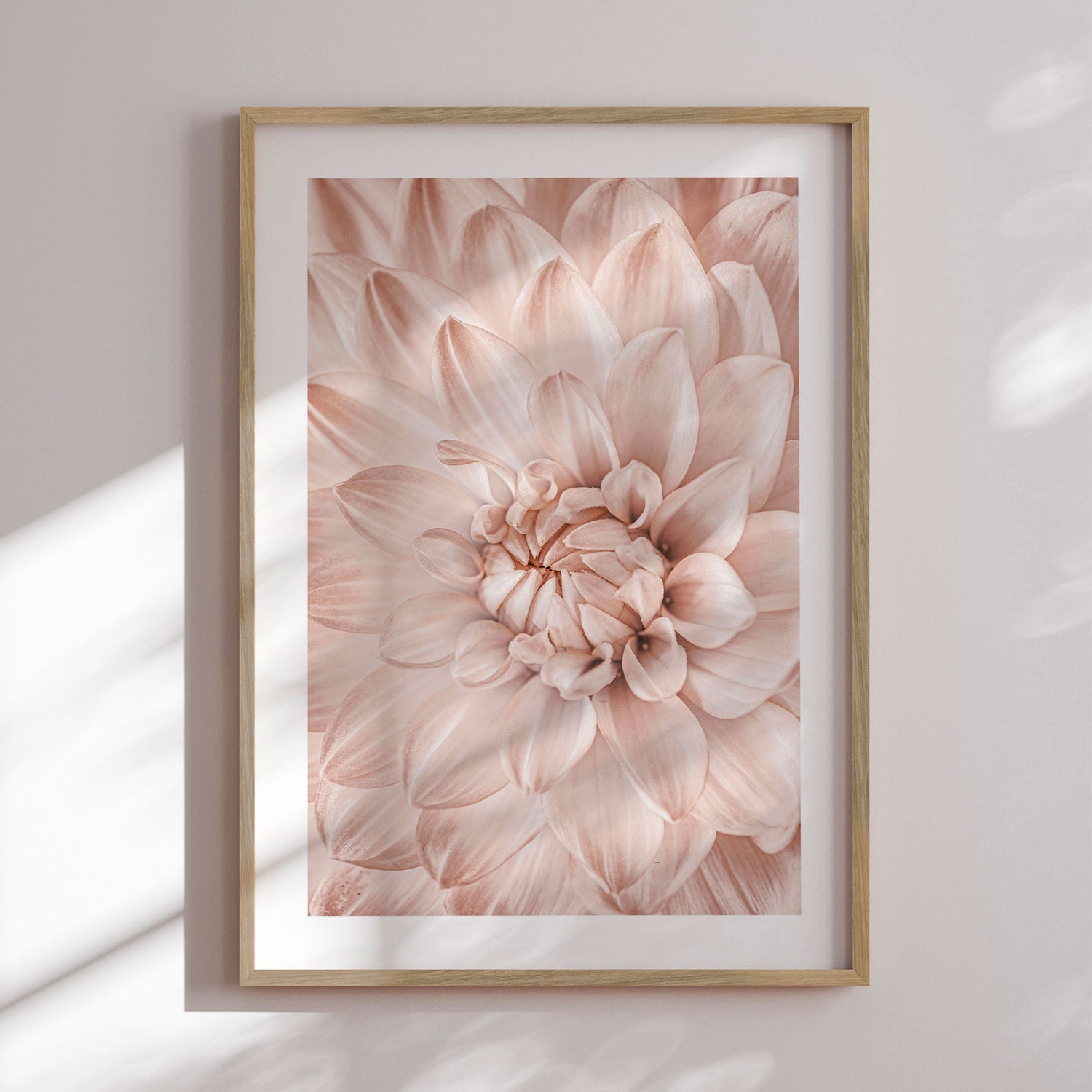 Plakat - Pink Closeup - Incado