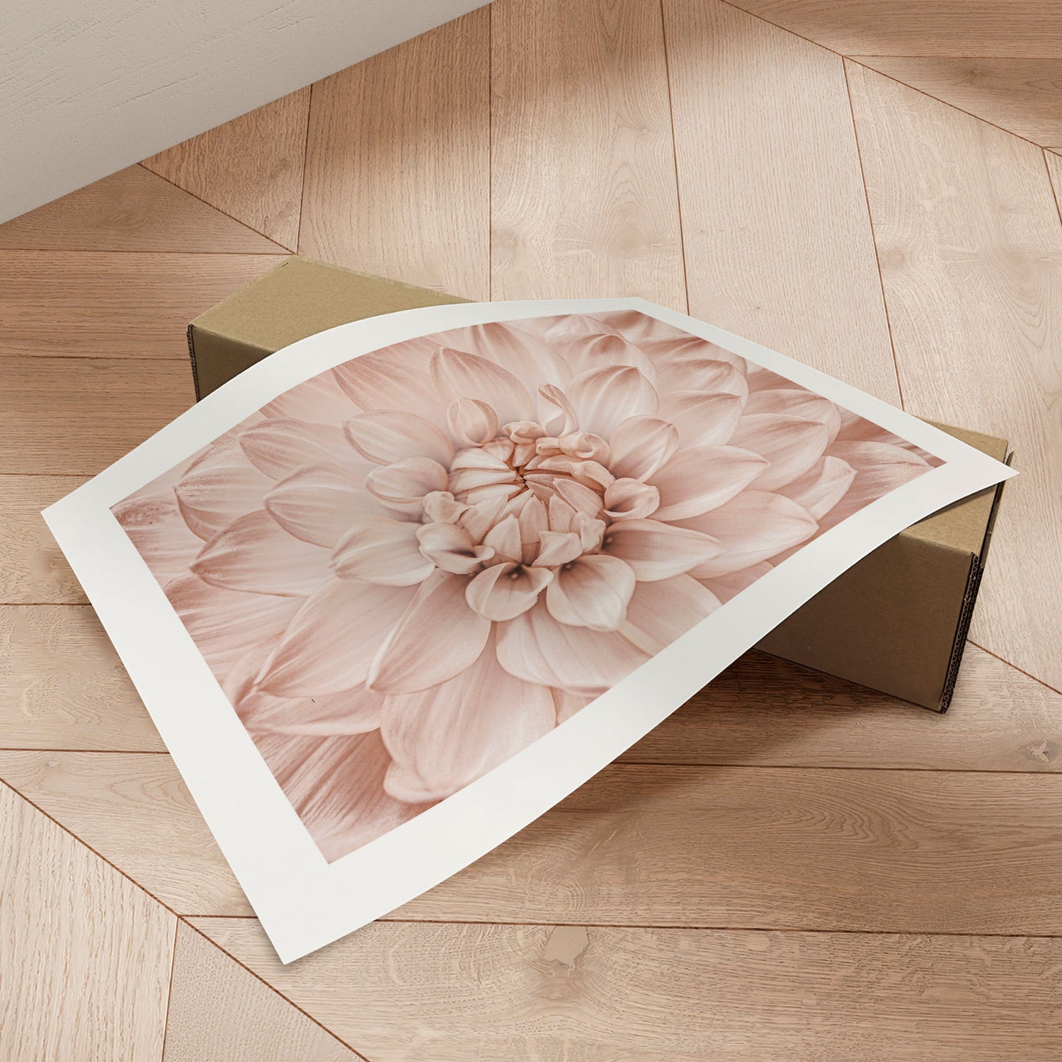 Plakat - Pink Closeup - Incado