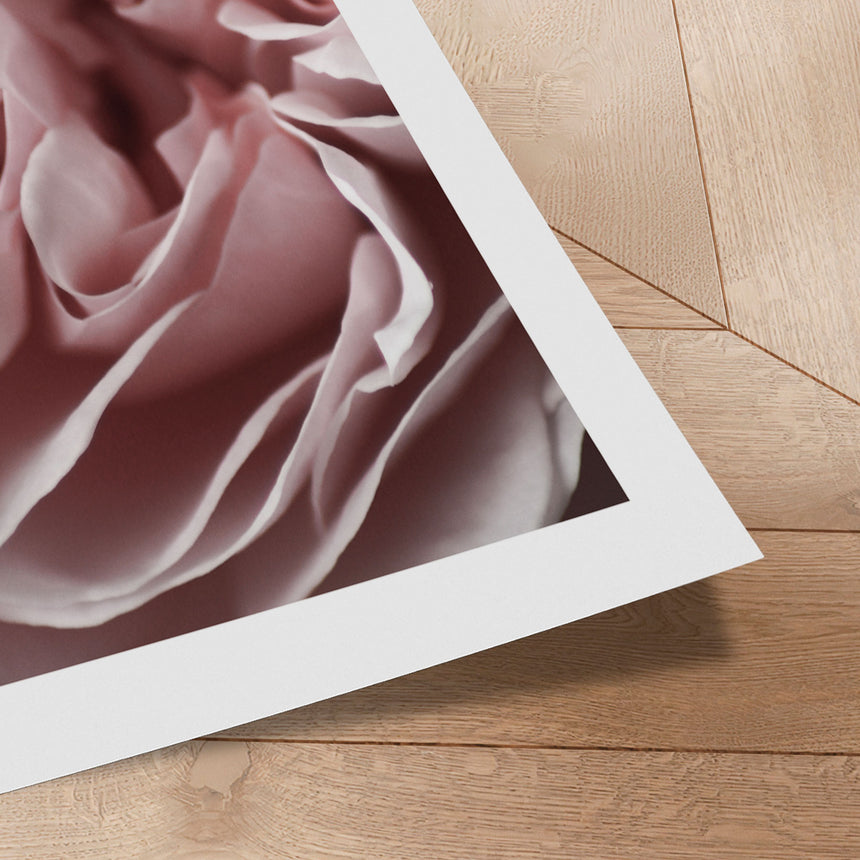 Plakat - Pink Closeup III - Incado