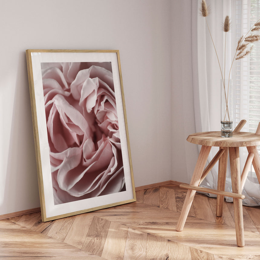 Plakat - Pink Closeup III - Incado