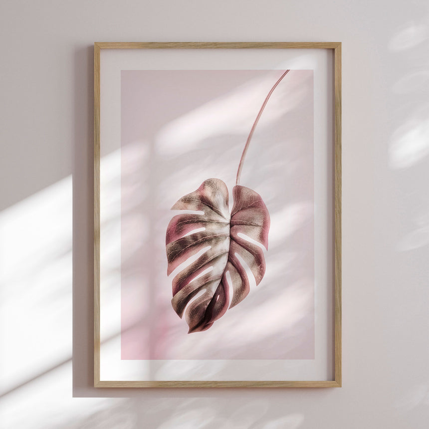 Plakat - Pink Monstera - Incado