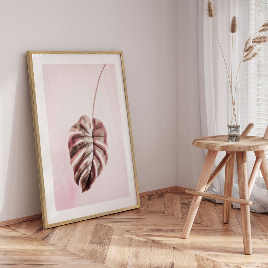 Plakat - Pink Monstera - Incado