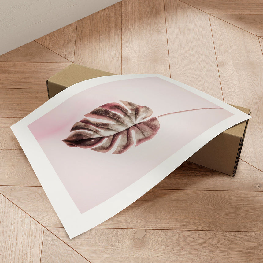 Plakat - Pink Monstera - Incado