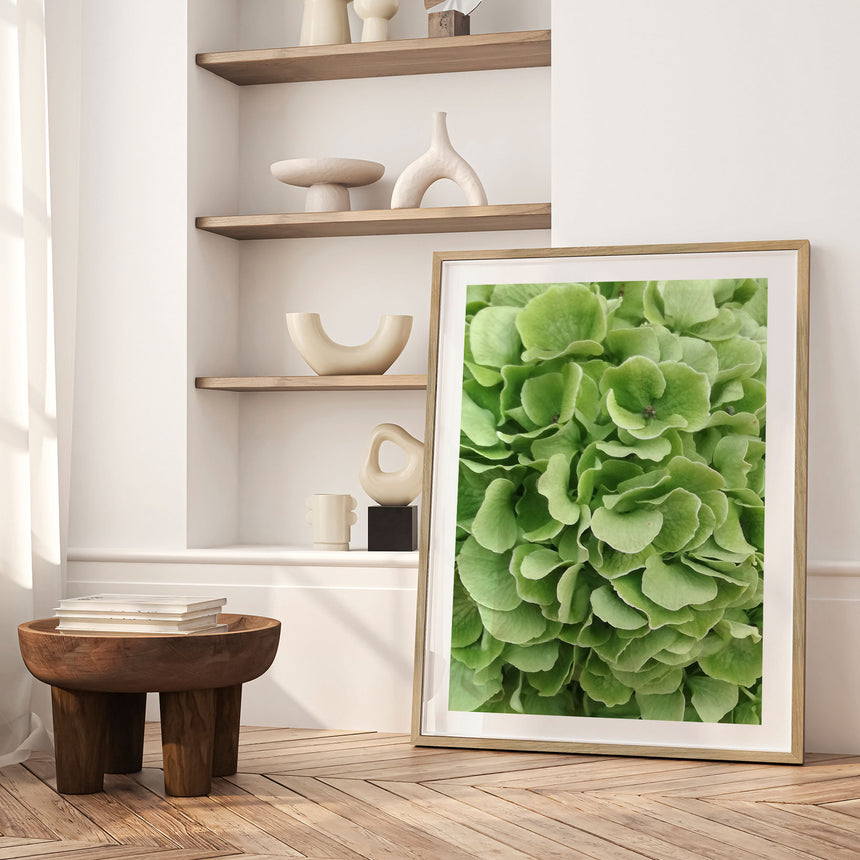 Plakat - Green Hortensia - Incado