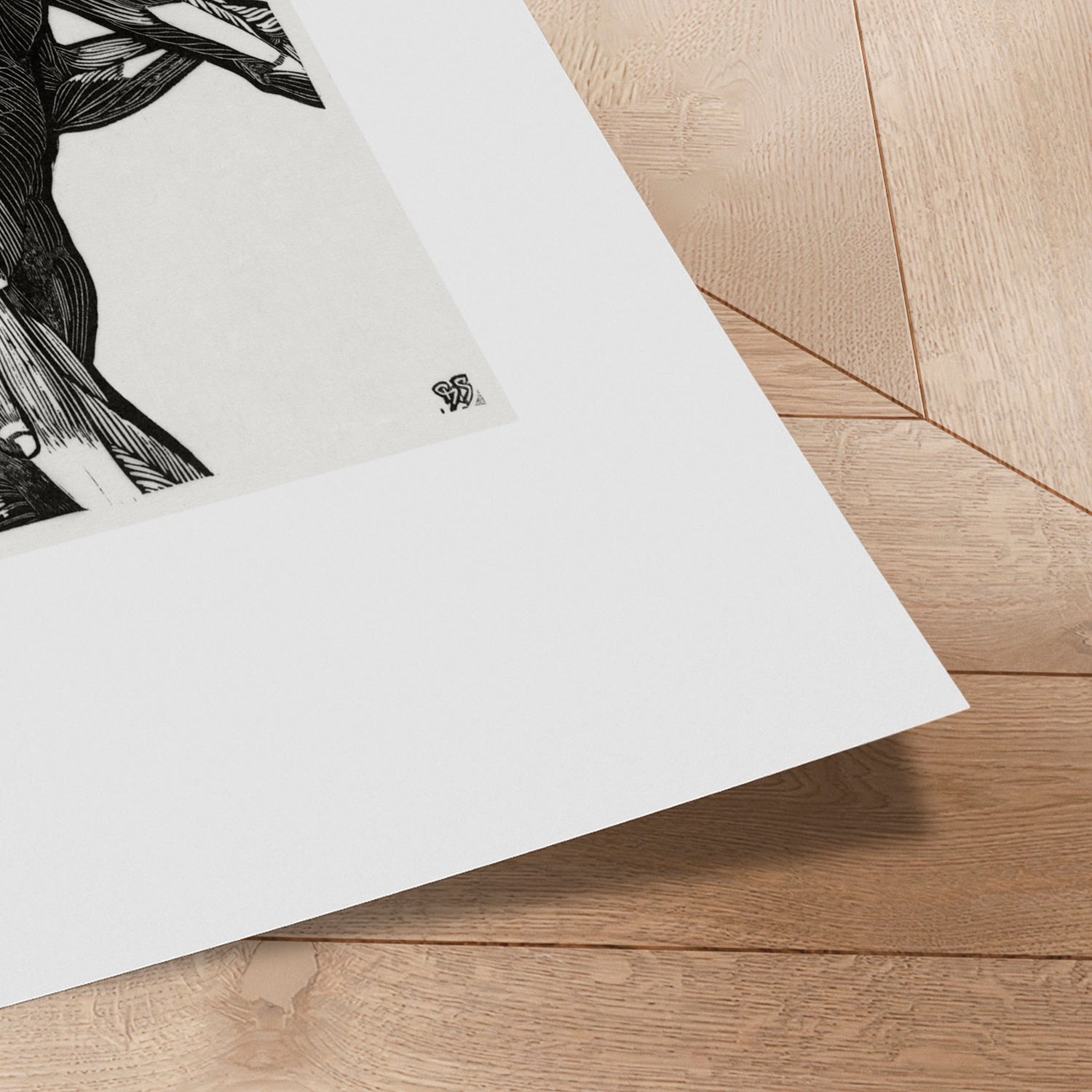 Plakat - Mand - Reijer Stolk - Incado