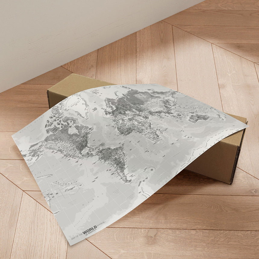 Verdenskort - Light - Plakat - Incado