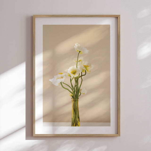 Plakat - Anemone Coronaria - Incado