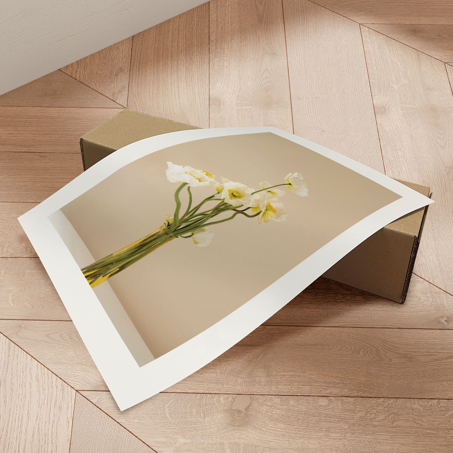 Plakat - Anemone Coronaria - Incado