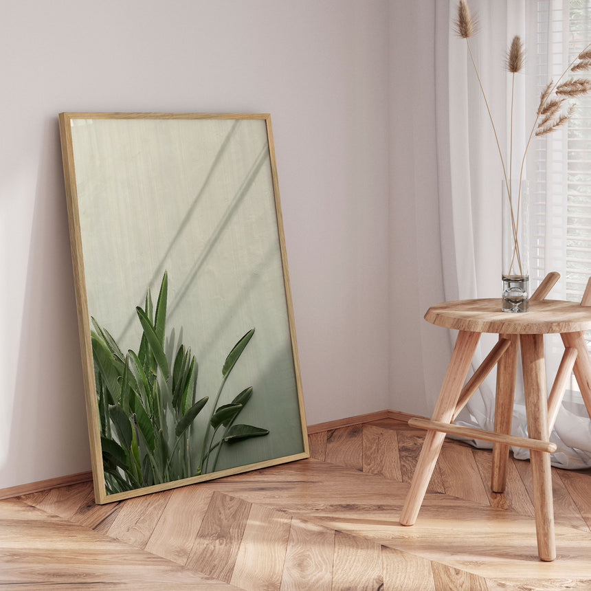 Plakat - Sunny Strelitzia - Incado