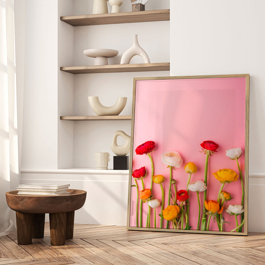 Plakat - Ranunculus Pink - Incado