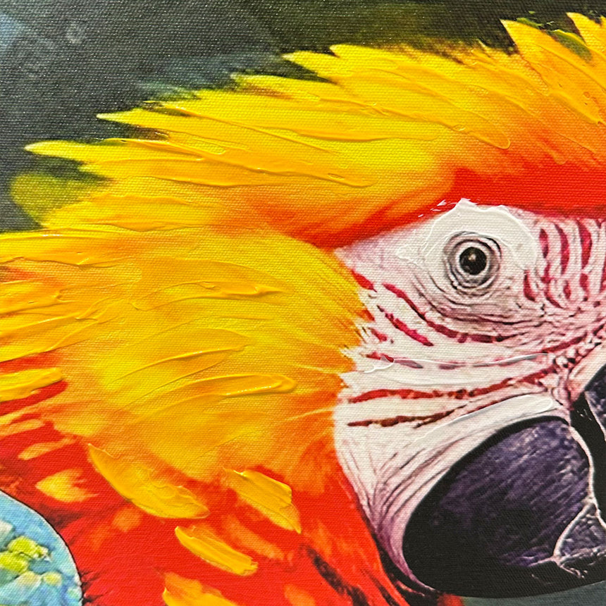 Håndlavet maleri med ramme - Parrot I - Mixed media - Incado