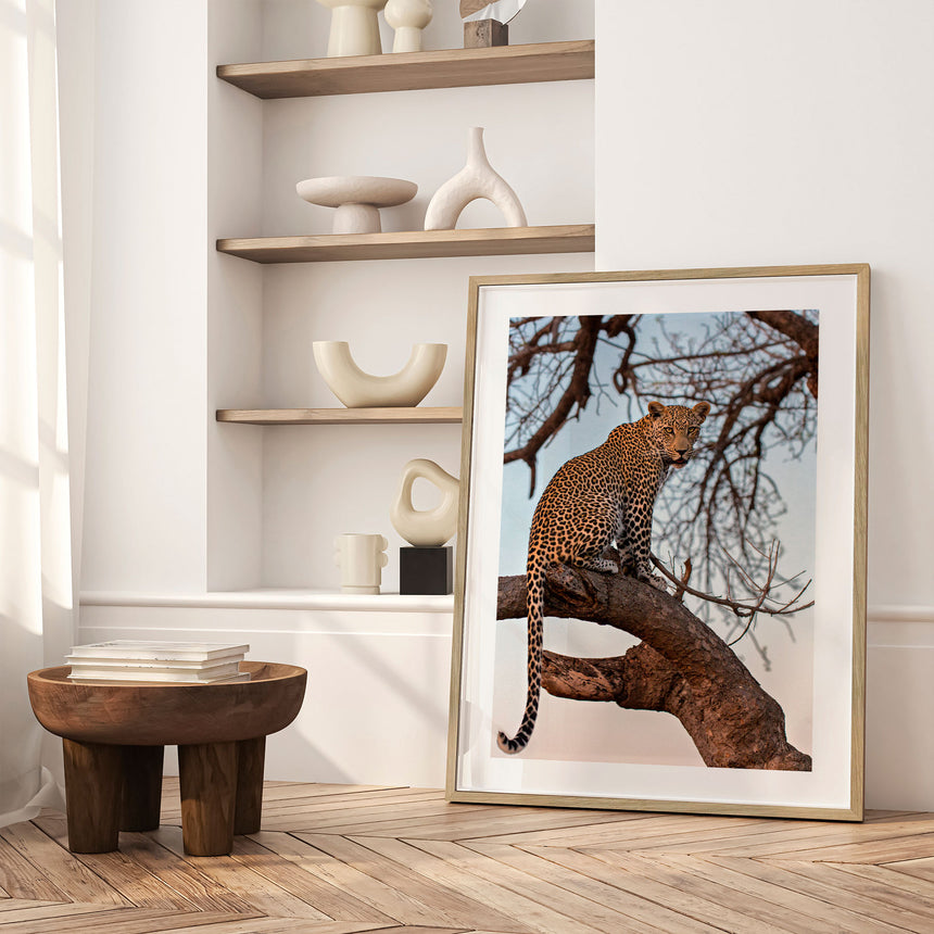 Plakat - Sitting on the Tree - Incado