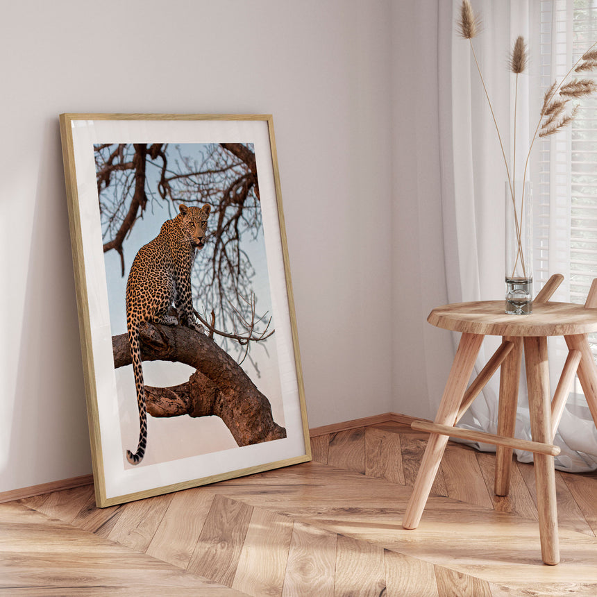 Plakat - Sitting on the Tree - Incado