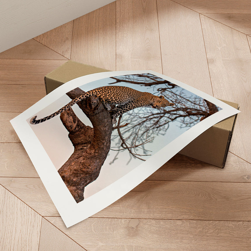 Plakat - Sitting on the Tree - Incado