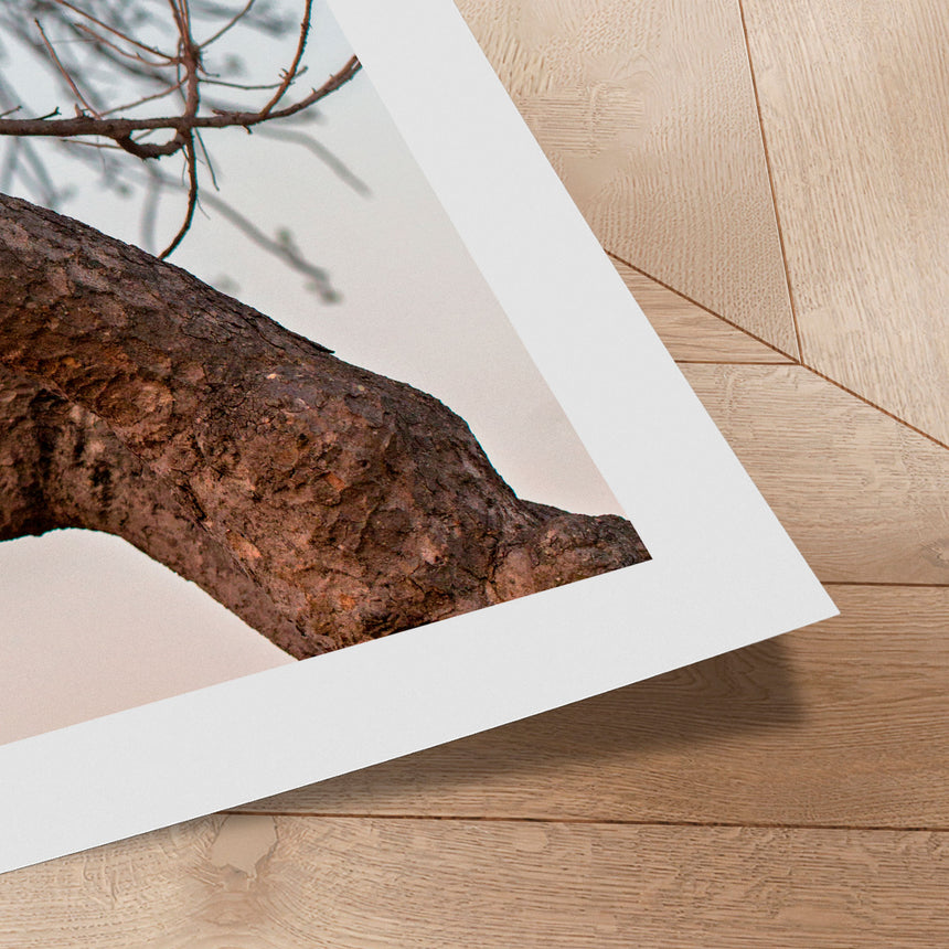 Plakat - Sitting on the Tree - Incado