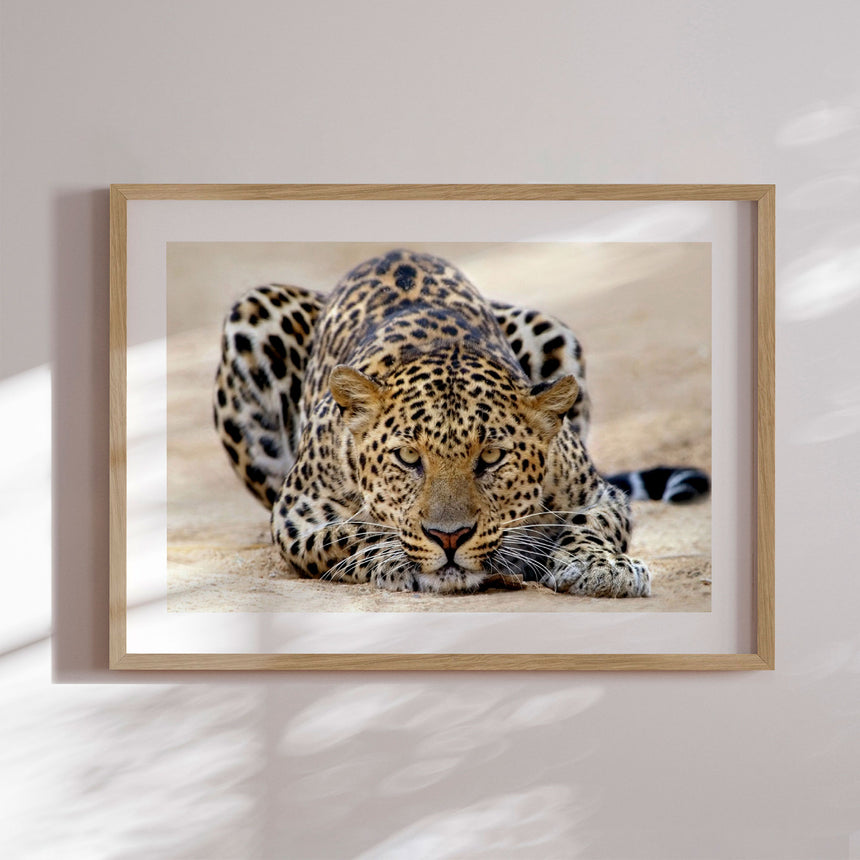 Plakat - I Wanna Play - Incado