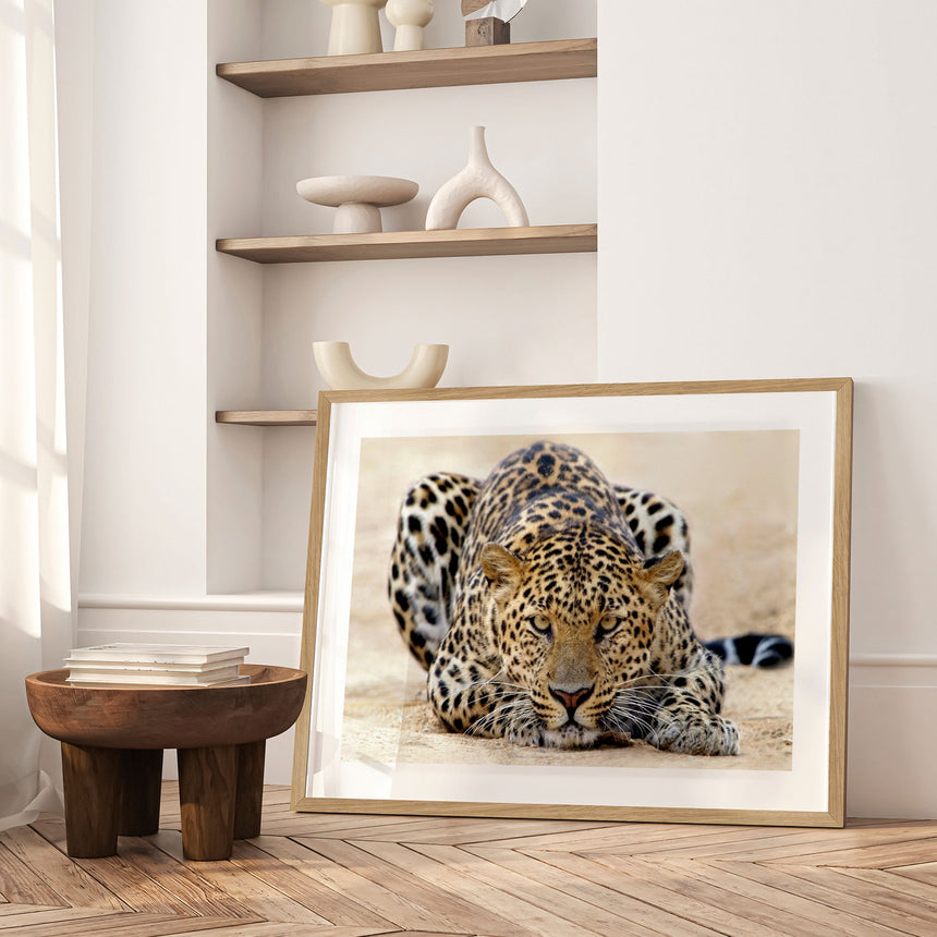 Plakat - I Wanna Play - Incado