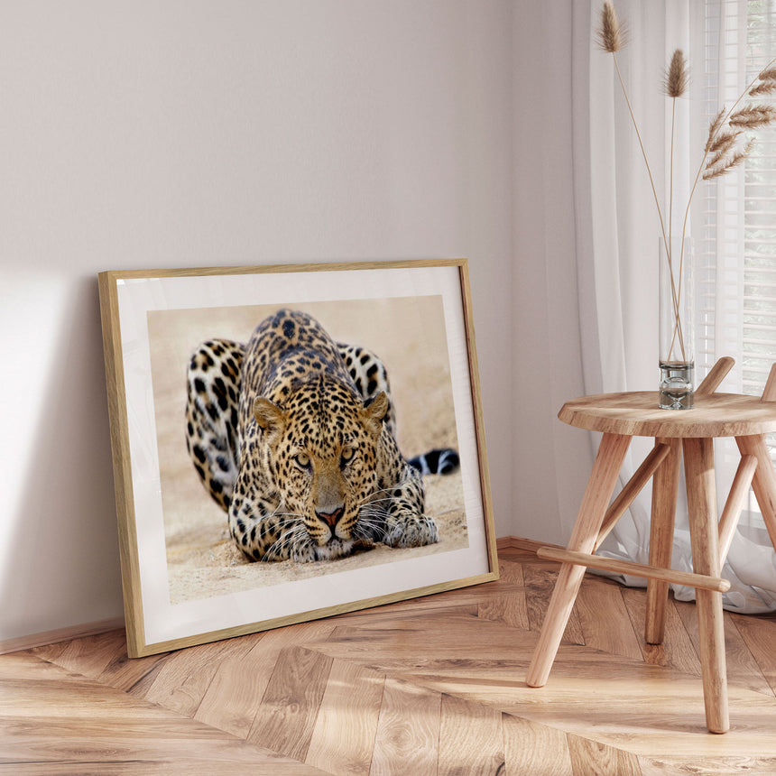 Plakat - I Wanna Play - Incado