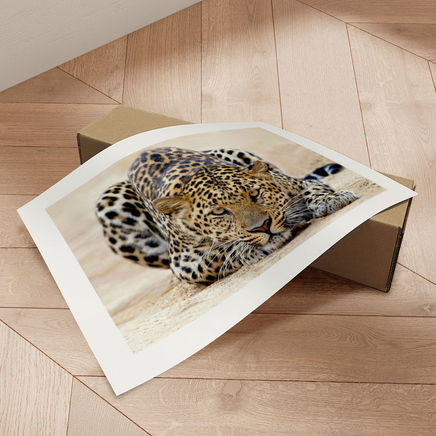 Plakat - I Wanna Play - Incado