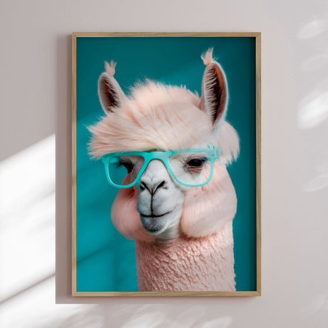 Plakat - Drama Lama - Incado