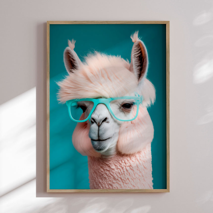 Plakat - Drama Lama - Incado