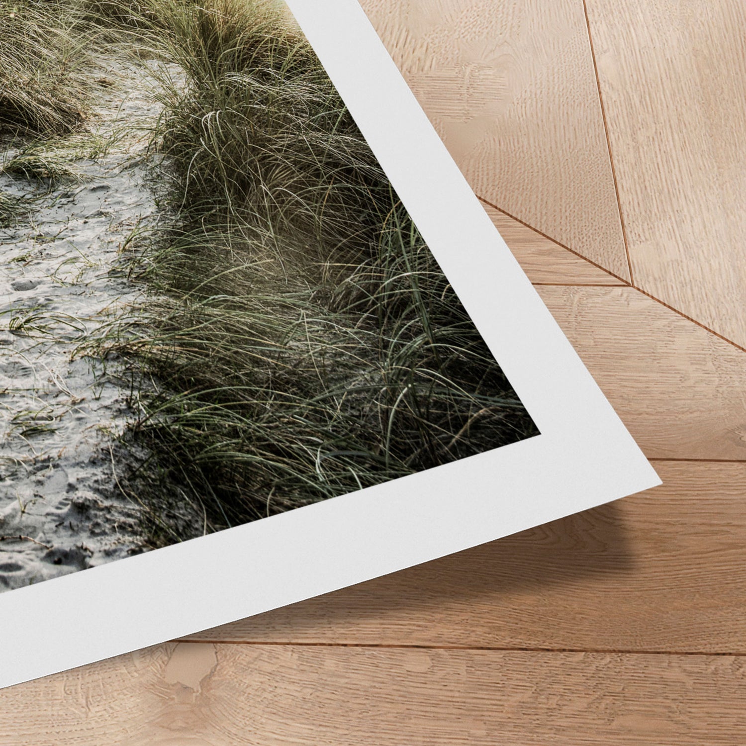 Plakat - Sea of Silence - Incado