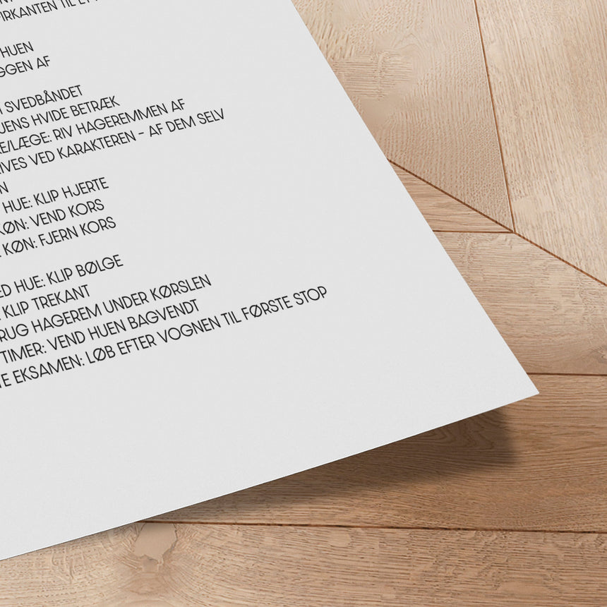 Plakat - Studenterhue Regler - Incado