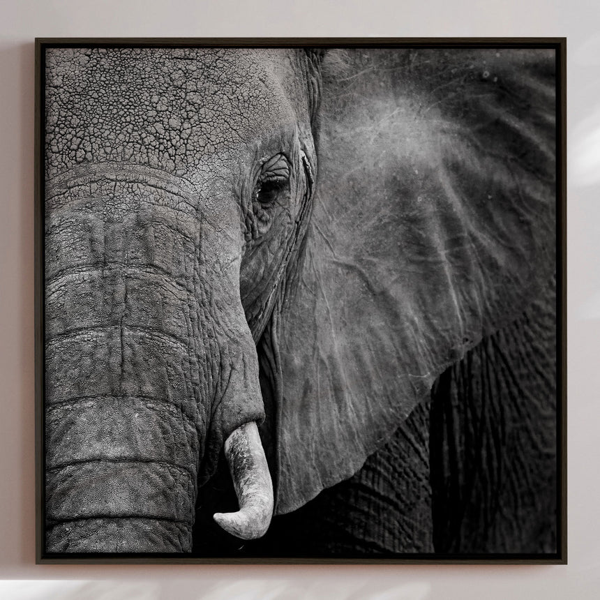 Lærredstryk - Wisdom