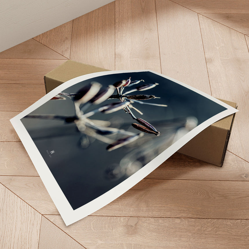 Plakat - Into the blue - Incado