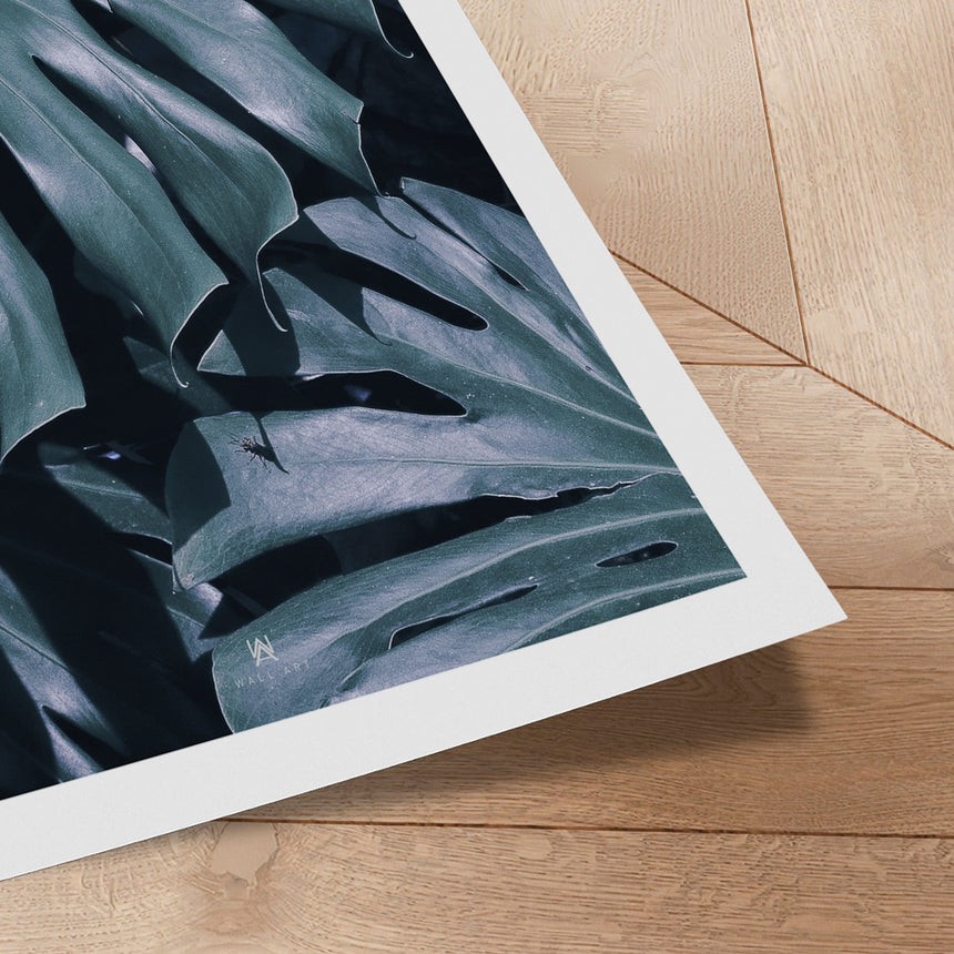 Plakat - Monstera - Incado