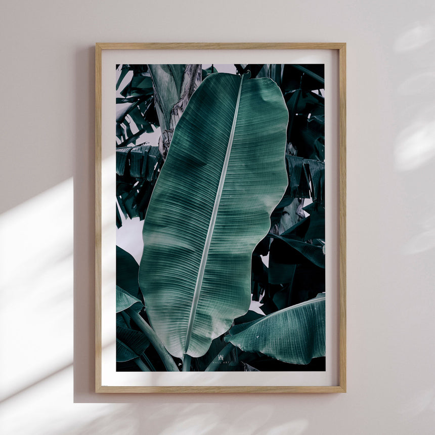 Plakat - Banana - Incado