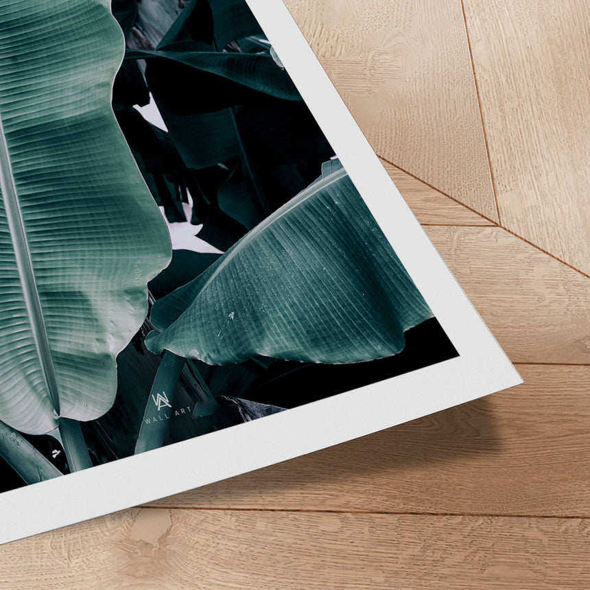 Plakat - Banana - Incado