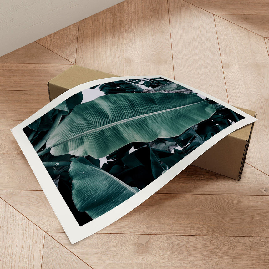 Plakat - Banana - Incado