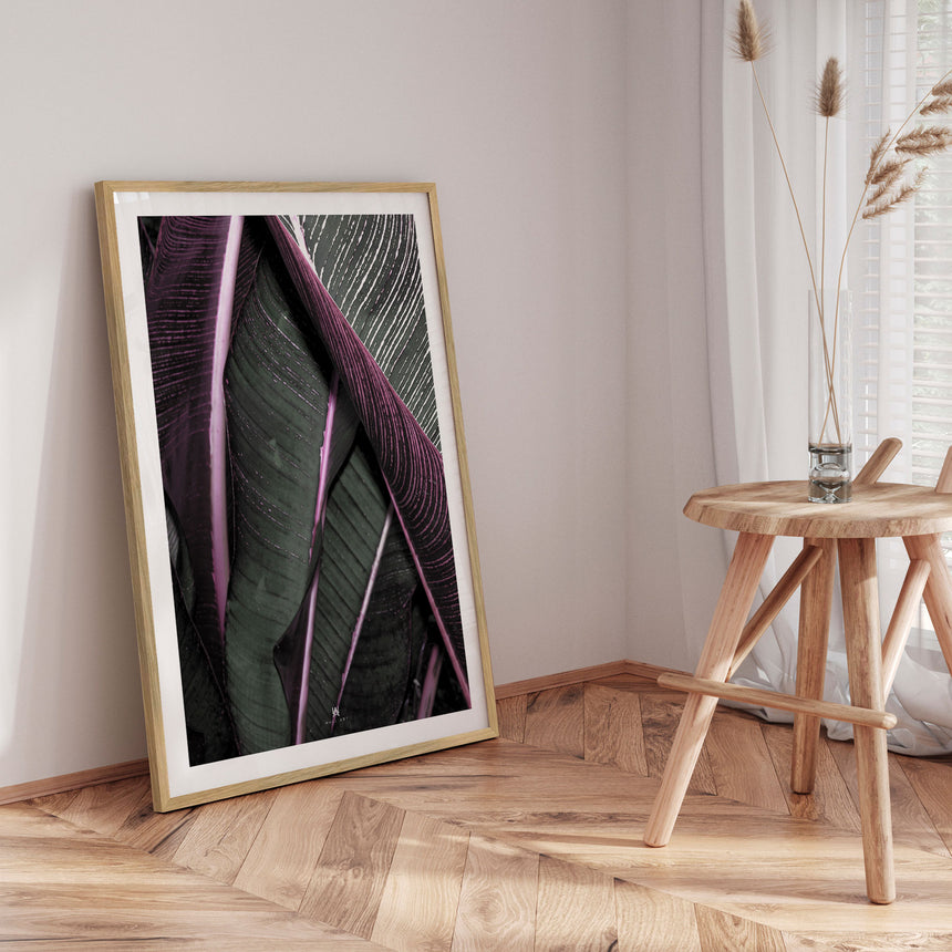 Plakat - Jungle Life - Incado