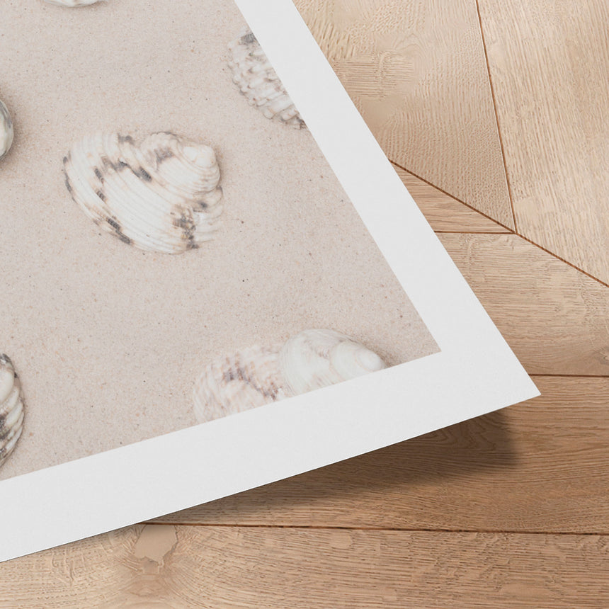 Plakat - Coastal Sand Shells