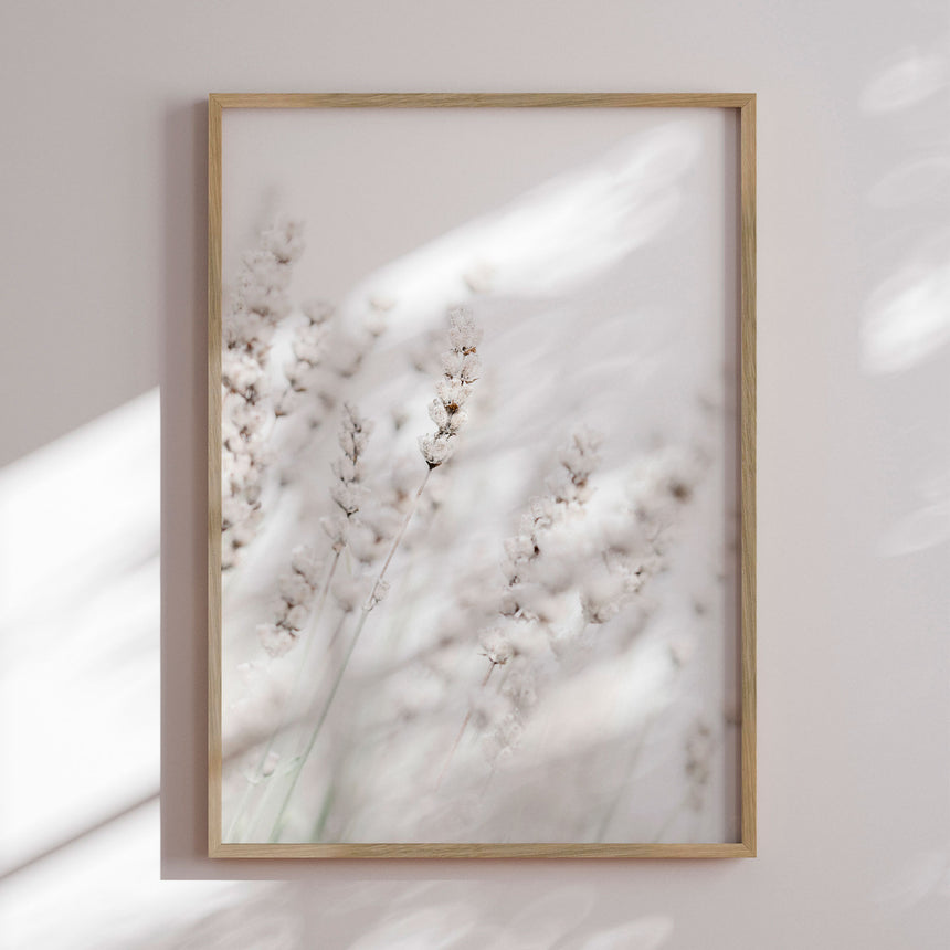 Plakat - Whispering Lavender - 1x Studio II
