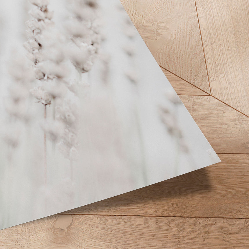 Plakat - Whispering Lavender - 1x Studio II