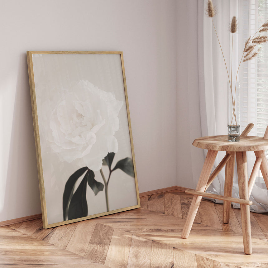 Plakat - Peony - 1x Studio II